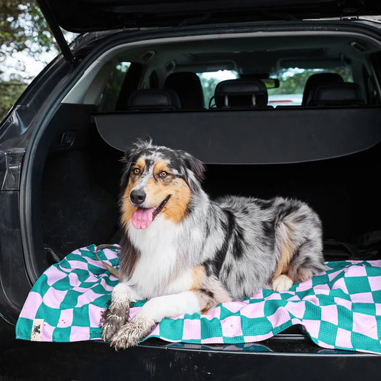 Dog Towel Checkered